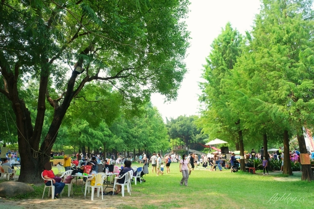 沐卉親子農場｜落羽松手划船、溜滑梯戲水池、手作DIY、沙坑露營，彰化假日親子出遊地方 @飛天璇的口袋