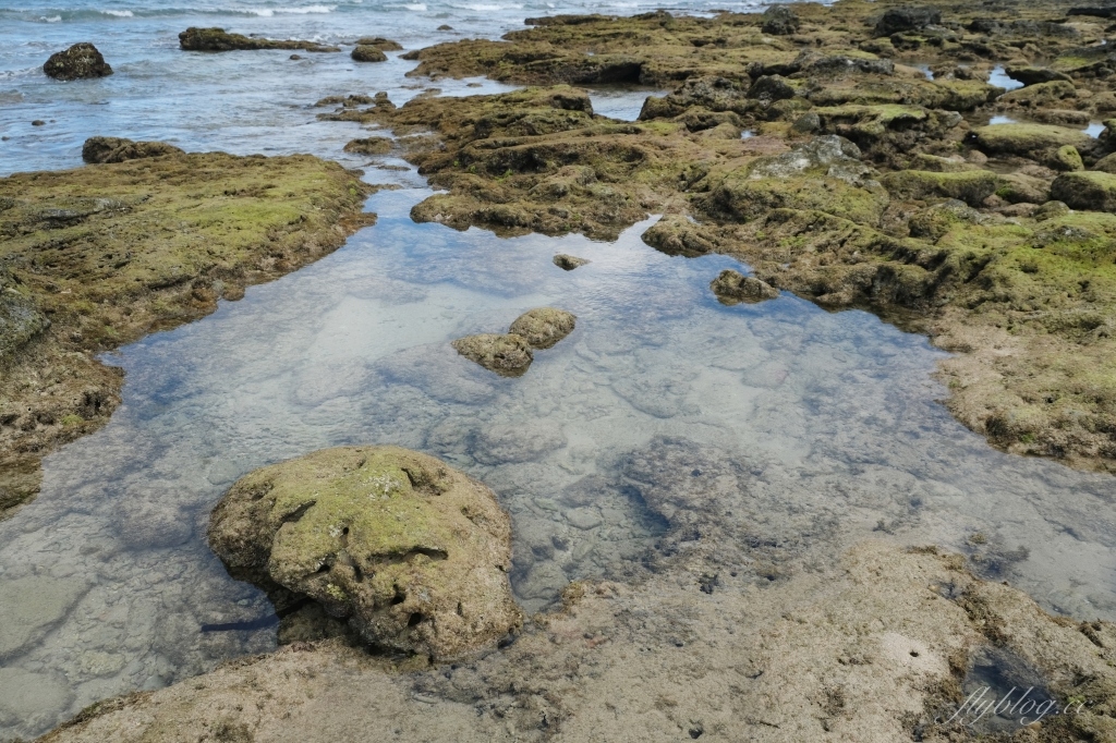 後壁湖潮間帶|富有豐富生態的墾丁秘境,認識海洋小生物最好的地點 @飛天璇的口袋 後壁湖潮間帶|富有豐富生態的墾丁秘境,認識海洋小生物最好的地點 @飛天璇的口袋