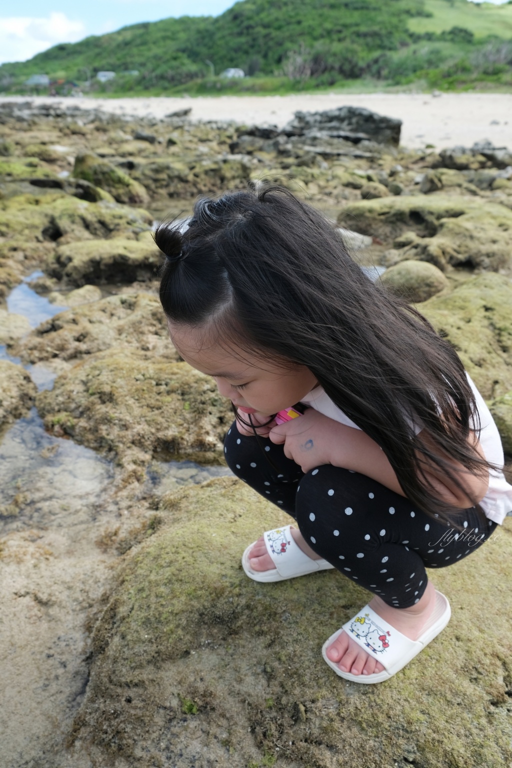 後壁湖潮間帶|富有豐富生態的墾丁秘境,認識海洋小生物最好的地點 @飛天璇的口袋 後壁湖潮間帶|富有豐富生態的墾丁秘境,認識海洋小生物最好的地點 @飛天璇的口袋