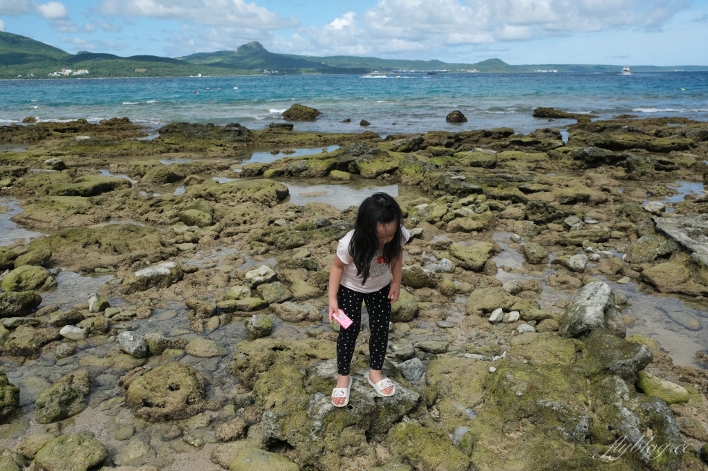 後壁湖潮間帶|富有豐富生態的墾丁秘境,認識海洋小生物最好的地點 @飛天璇的口袋 後壁湖潮間帶|富有豐富生態的墾丁秘境,認識海洋小生物最好的地點 @飛天璇的口袋