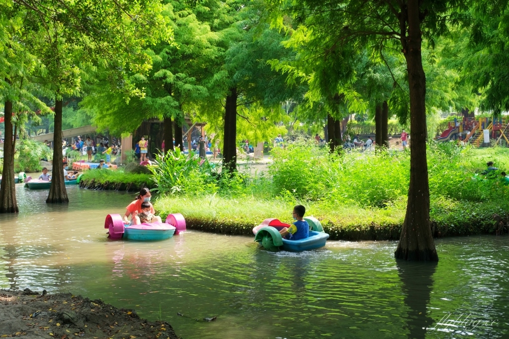 沐卉親子農場|落羽松手划船、溜滑梯戲水池、手作DIY、沙坑露營,彰化假日親子出遊地方 @飛天璇的口袋 沐卉親子農場|落羽松手划船、溜滑梯戲水池、手作DIY、沙坑露營,彰化假日親子出遊地方 @飛天璇的口袋