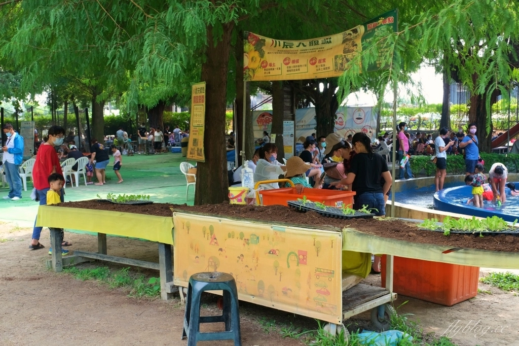 沐卉親子農場｜落羽松手划船、溜滑梯戲水池、手作DIY、沙坑露營，彰化假日親子出遊地方 @飛天璇的口袋