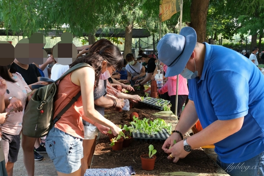 沐卉親子農場｜落羽松手划船、溜滑梯戲水池、手作DIY、沙坑露營，彰化假日親子出遊地方 @飛天璇的口袋