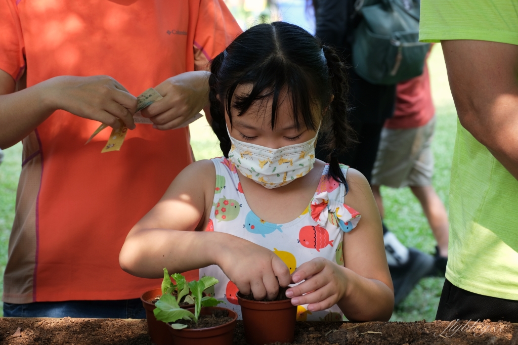 沐卉親子農場|落羽松手划船、溜滑梯戲水池、手作DIY、沙坑露營,彰化假日親子出遊地方 @飛天璇的口袋 沐卉親子農場|落羽松手划船、溜滑梯戲水池、手作DIY、沙坑露營,彰化假日親子出遊地方 @飛天璇的口袋