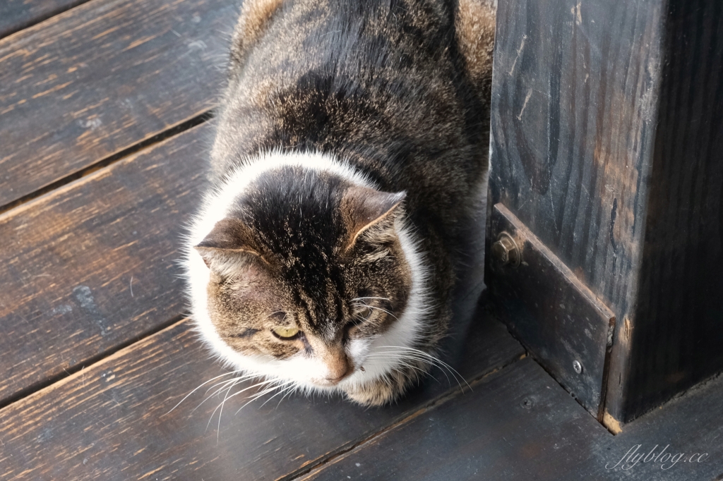 游芭絲鄒宴餐廳|阿里山下的景觀餐廳,品嚐風味鄒族原住民料理 @飛天璇的口袋 游芭絲鄒宴餐廳|阿里山下的景觀餐廳,品嚐風味鄒族原住民料理 @飛天璇的口袋