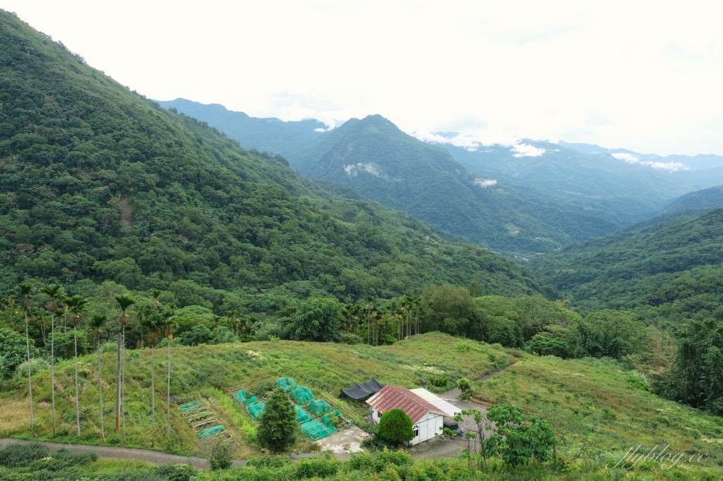 游芭絲鄒宴餐廳|阿里山下的景觀餐廳,品嚐風味鄒族原住民料理 @飛天璇的口袋 游芭絲鄒宴餐廳|阿里山下的景觀餐廳,品嚐風味鄒族原住民料理 @飛天璇的口袋