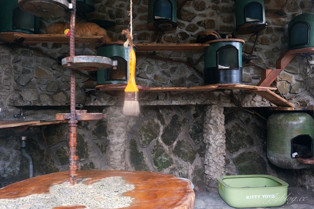 阿將的家23咖啡館｜阿里山下的秘境咖啡館，仿佛進入宮崎駿電影的吉卜力世界 @飛天璇的口袋