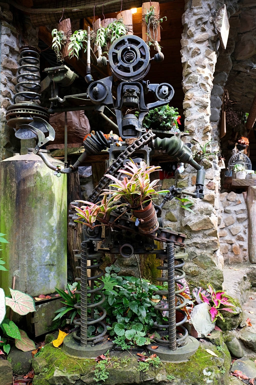 阿將的家23咖啡館｜阿里山下的秘境咖啡館，仿佛進入宮崎駿電影的吉卜力世界 @飛天璇的口袋