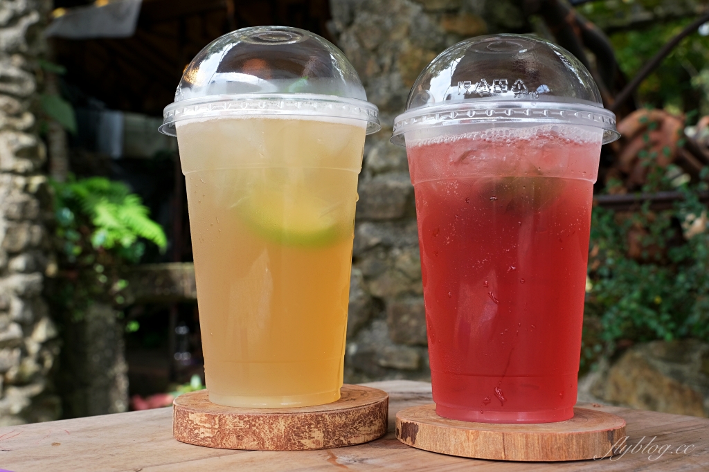 阿將的家23咖啡館｜阿里山下的秘境咖啡館，仿佛進入宮崎駿電影的吉卜力世界 @飛天璇的口袋