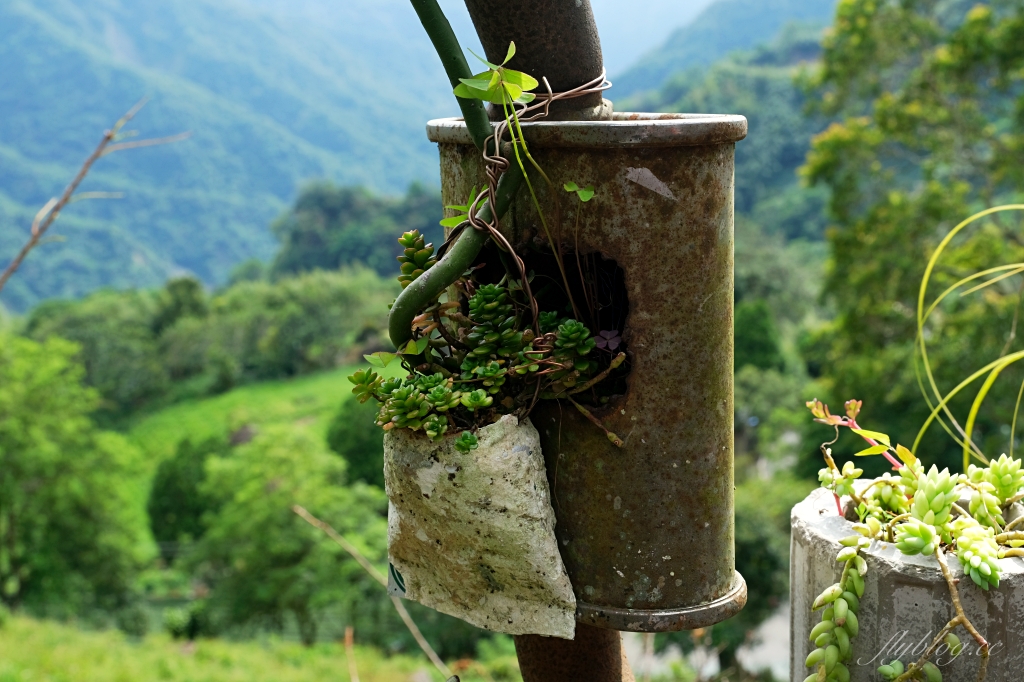 阿將的家23咖啡館｜阿里山下的秘境咖啡館，仿佛進入宮崎駿電影的吉卜力世界 @飛天璇的口袋