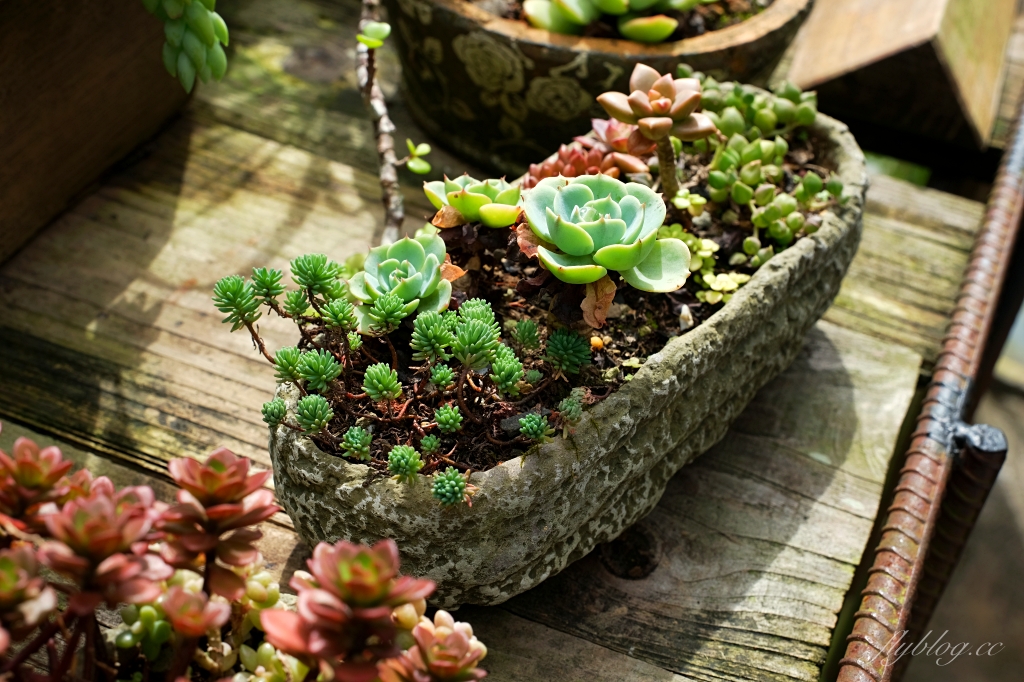 阿將的家23咖啡館｜阿里山下的秘境咖啡館，仿佛進入宮崎駿電影的吉卜力世界 @飛天璇的口袋