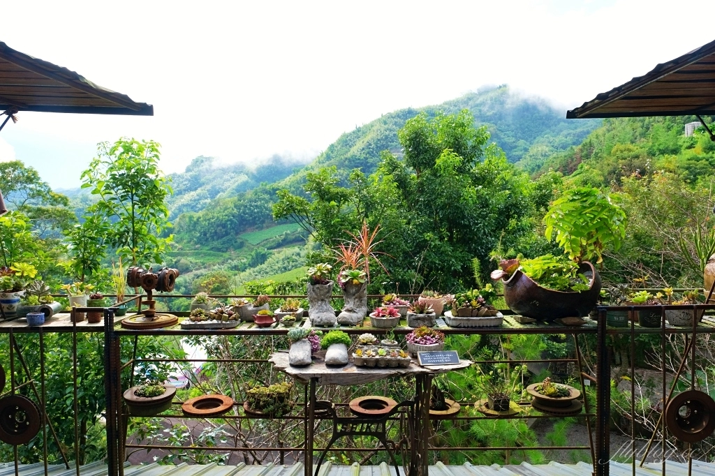 阿將的家23咖啡館｜阿里山下的秘境咖啡館，仿佛進入宮崎駿電影的吉卜力世界 @飛天璇的口袋