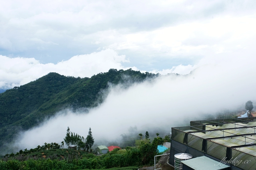 阿將的家23咖啡館｜阿里山下的秘境咖啡館，仿佛進入宮崎駿電影的吉卜力世界 @飛天璇的口袋