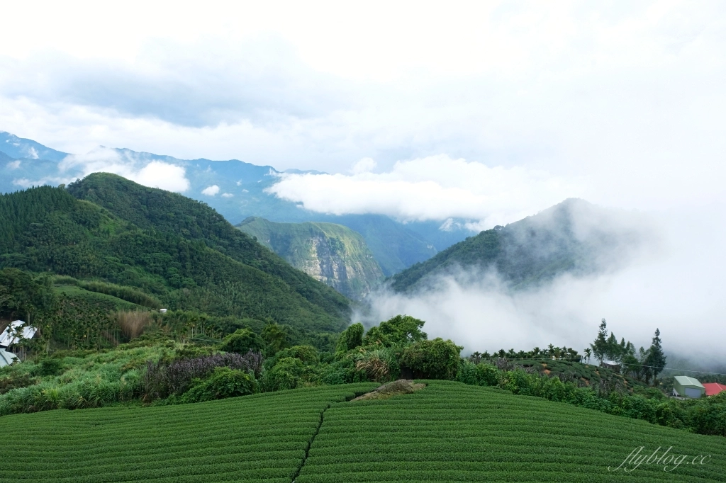 阿將的家23咖啡館｜阿里山下的秘境咖啡館，仿佛進入宮崎駿電影的吉卜力世界 @飛天璇的口袋