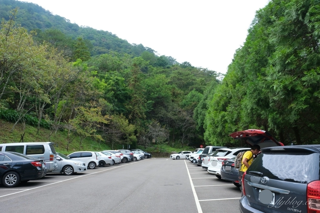 台中和平｜八仙山國家森林遊樂區．山林裡的兒童戲水池，群山環繞優美森林步道 @飛天璇的口袋
