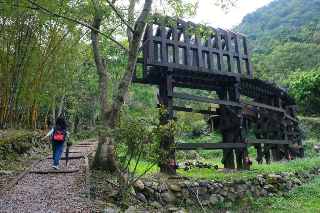台中和平｜八仙山國家森林遊樂區．山林裡的兒童戲水池，群山環繞優美森林步道 @飛天璇的口袋