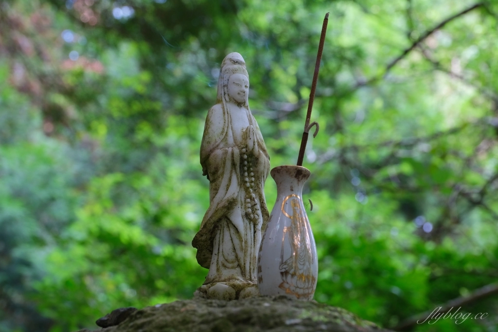 台中和平｜八仙山國家森林遊樂區．山林裡的兒童戲水池，群山環繞優美森林步道 @飛天璇的口袋