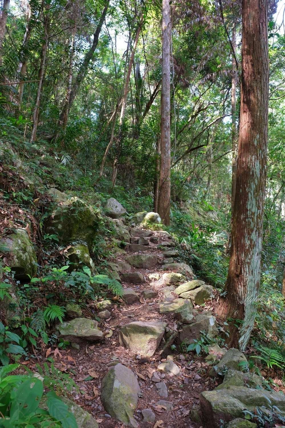 台中和平｜八仙山國家森林遊樂區．山林裡的兒童戲水池，群山環繞優美森林步道 @飛天璇的口袋