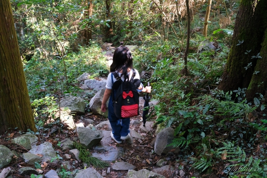 台中和平｜八仙山國家森林遊樂區．山林裡的兒童戲水池，群山環繞優美森林步道 @飛天璇的口袋