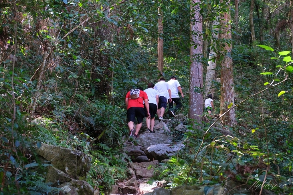 台中和平｜八仙山國家森林遊樂區．山林裡的兒童戲水池，群山環繞優美森林步道 @飛天璇的口袋