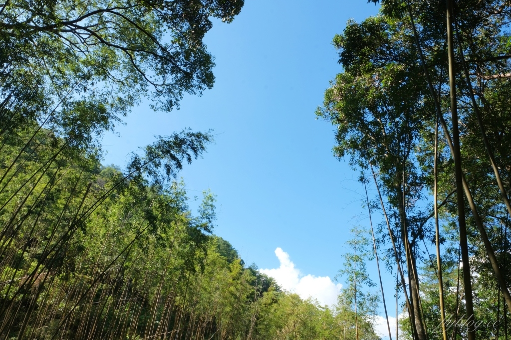 台中和平｜八仙山國家森林遊樂區．山林裡的兒童戲水池，群山環繞優美森林步道 @飛天璇的口袋
