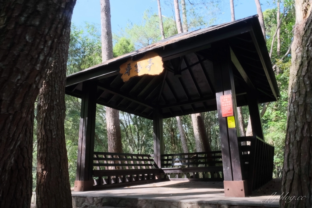 台中和平｜八仙山國家森林遊樂區．山林裡的兒童戲水池，群山環繞優美森林步道 @飛天璇的口袋