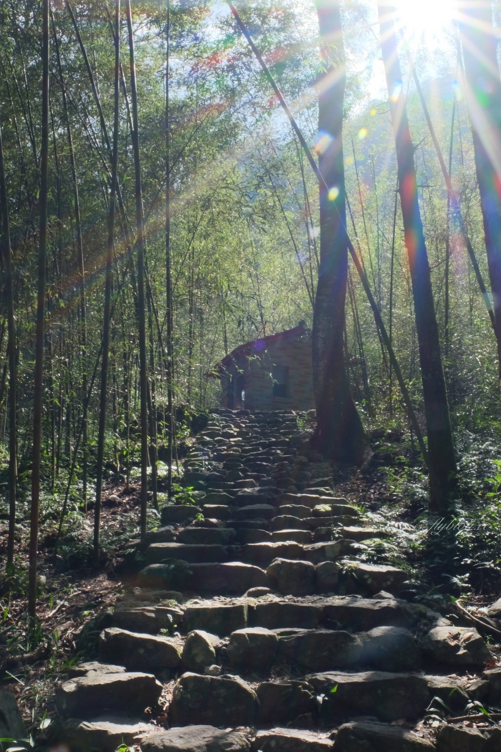 台中和平｜八仙山國家森林遊樂區．山林裡的兒童戲水池，群山環繞優美森林步道 @飛天璇的口袋