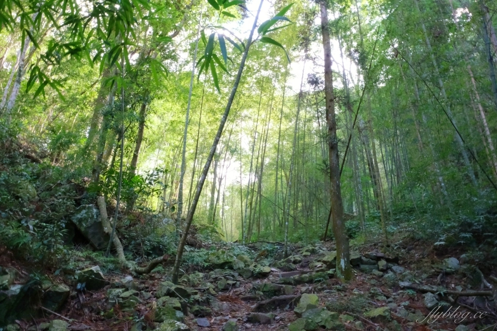 台中和平｜八仙山國家森林遊樂區．山林裡的兒童戲水池，群山環繞優美森林步道 @飛天璇的口袋