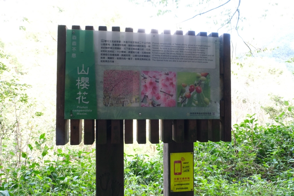 台中和平｜八仙山國家森林遊樂區．山林裡的兒童戲水池，群山環繞優美森林步道 @飛天璇的口袋