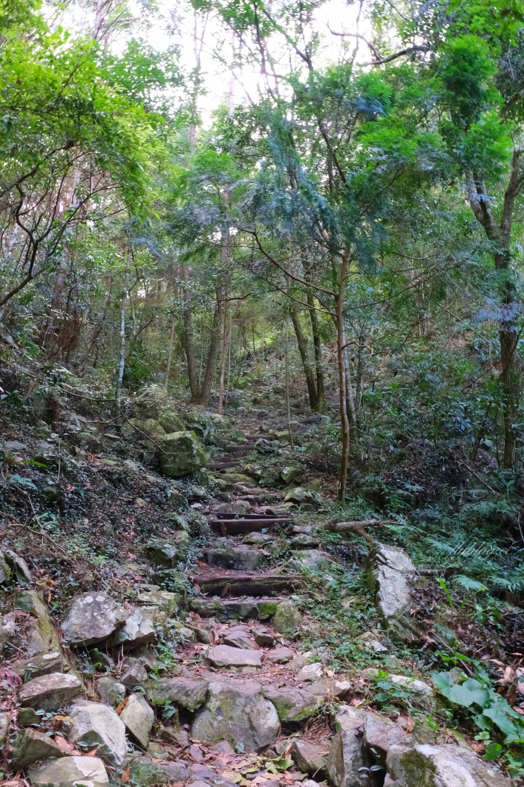 台中和平｜八仙山國家森林遊樂區．山林裡的兒童戲水池，群山環繞優美森林步道 @飛天璇的口袋