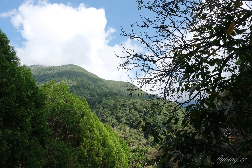 台中和平｜八仙山國家森林遊樂區．山林裡的兒童戲水池，群山環繞優美森林步道 @飛天璇的口袋