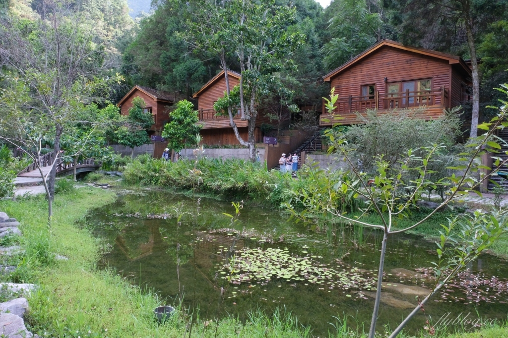 台中和平｜八仙山國家森林遊樂區．山林裡的兒童戲水池，群山環繞優美森林步道 @飛天璇的口袋