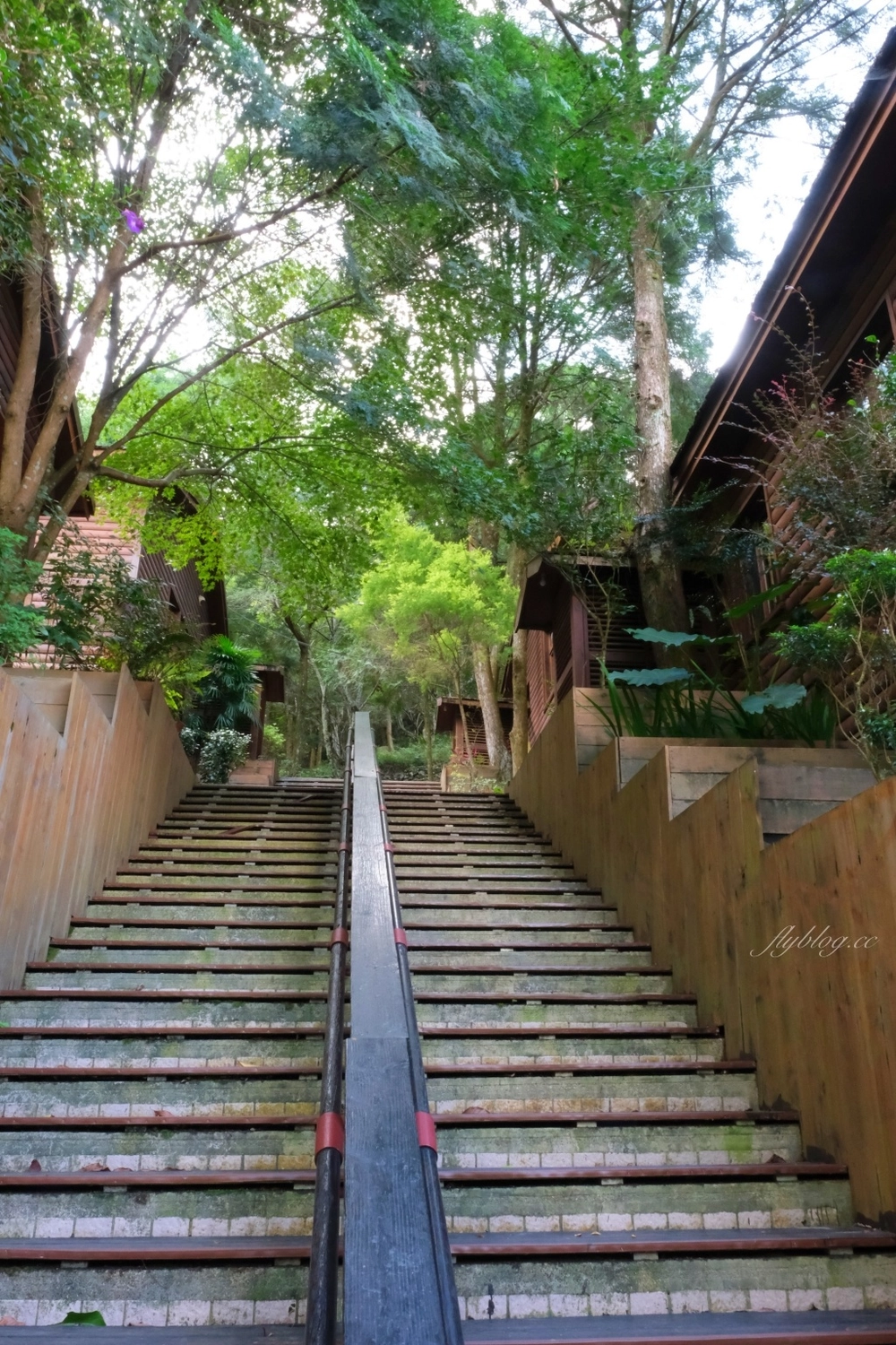 台中和平｜八仙山國家森林遊樂區．山林裡的兒童戲水池，群山環繞優美森林步道 @飛天璇的口袋