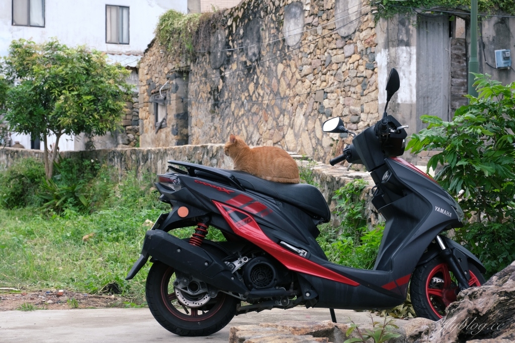 【馬祖南竿】島嶼花草文旅~南竿最新無印良品風格，簡單清新的花草主題民宿 @飛天璇的口袋