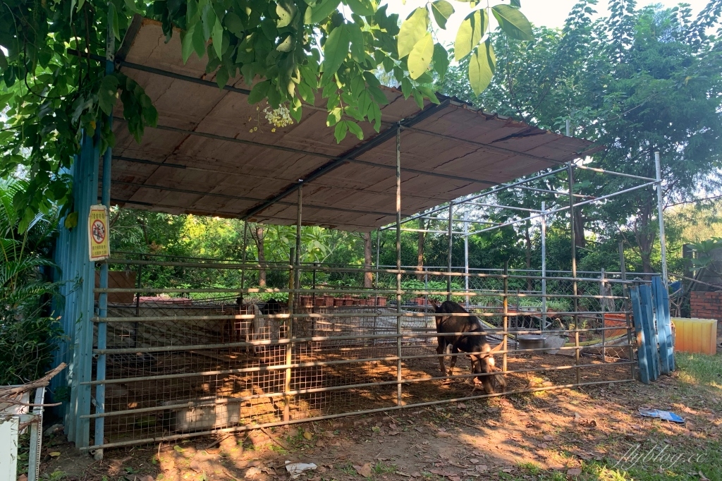 沐卉親子農場|落羽松手划船、溜滑梯戲水池、手作DIY、沙坑露營,彰化假日親子出遊地方 @飛天璇的口袋 沐卉親子農場|落羽松手划船、溜滑梯戲水池、手作DIY、沙坑露營,彰化假日親子出遊地方 @飛天璇的口袋