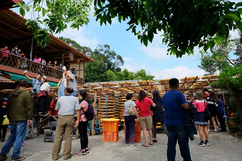新竹新埔|味衛佳柿餅教育農園.秋天限定的三合院曬柿子,療癒又好拍的金色浪漫 @飛天璇的口袋 新竹新埔|味衛佳柿餅教育農園.秋天限定的三合院曬柿子,療癒又好拍的金色浪漫 @飛天璇的口袋