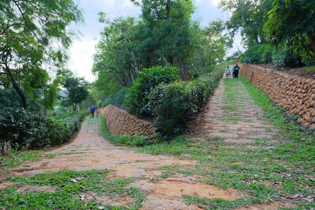 雲夢山丘｜假日限定！雲水觀、金之塔、溫泉足湯、自然生態，欣賞日本隈研吾大師的建築美學 @飛天璇的口袋