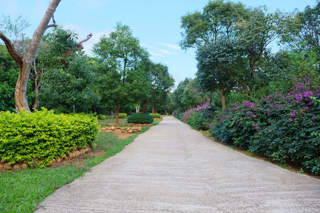 雲夢山丘｜假日限定！雲水觀、金之塔、溫泉足湯、自然生態，欣賞日本隈研吾大師的建築美學 @飛天璇的口袋