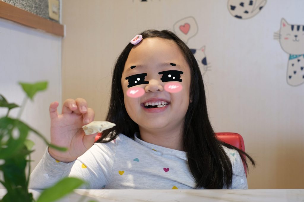 台中北屯｜糖村曲奇餅，台中在地26年伴手禮專賣店，推薦隱藏版曲奇餅和牛軋糖 @飛天璇的口袋