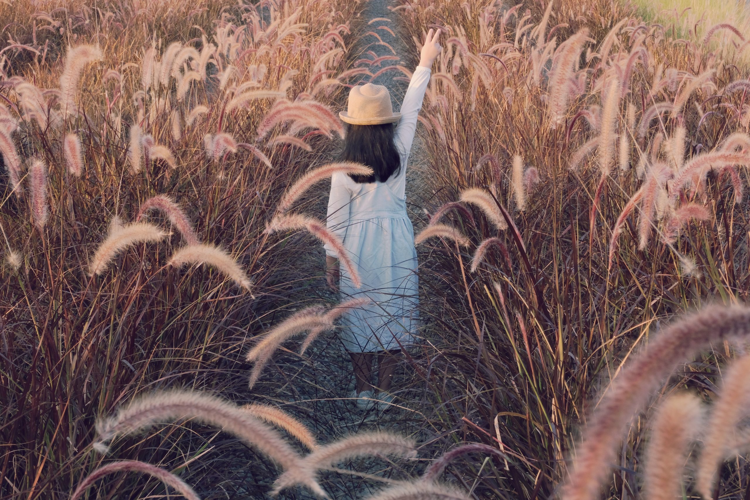 【台中北屯】國聚建設甘露之地,北屯城市裡的小綠洲,充滿綠意的甘露之地 @飛天璇的口袋 【台中北屯】國聚建設甘露之地,北屯城市裡的小綠洲,充滿綠意的甘露之地 @飛天璇的口袋