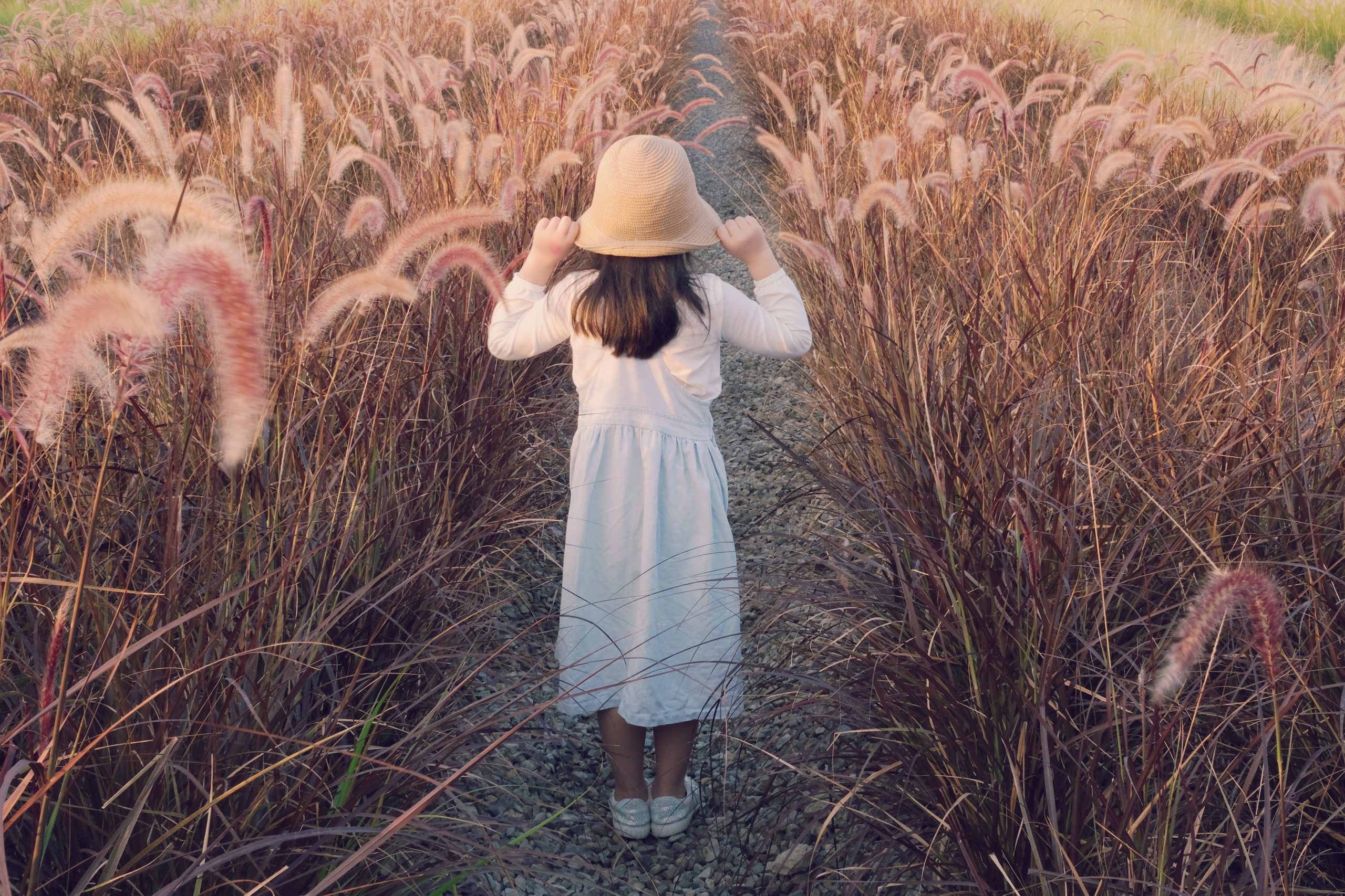 【台中北屯】紅色秘境夢幻園圃，隱身於十四期的紅色狼尾草花海，浪漫又好拍的IG小秘境 @飛天璇的口袋