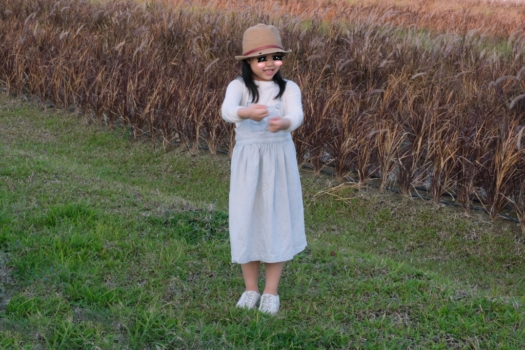 【台中北屯】紅色秘境夢幻園圃，隱身於十四期的紅色狼尾草花海，浪漫又好拍的IG小秘境 @飛天璇的口袋