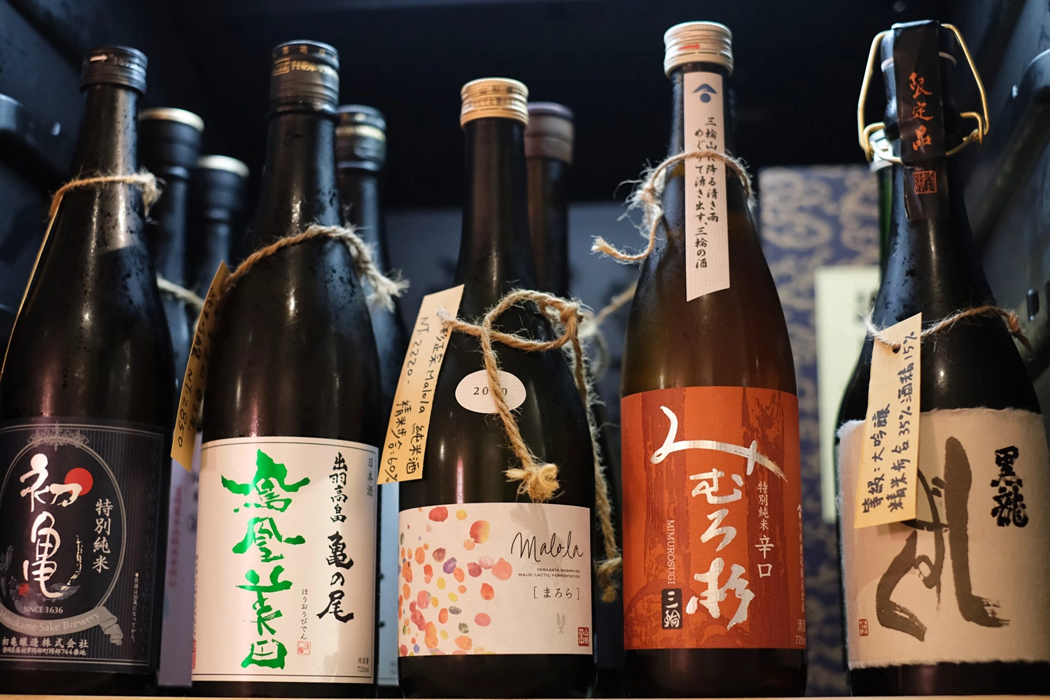 【台中西區】虎川千代居酒屋，隱身草悟道巷弄裡的老宅居酒屋，濃濃的日式氛圍餐點也很好吃 @飛天璇的口袋