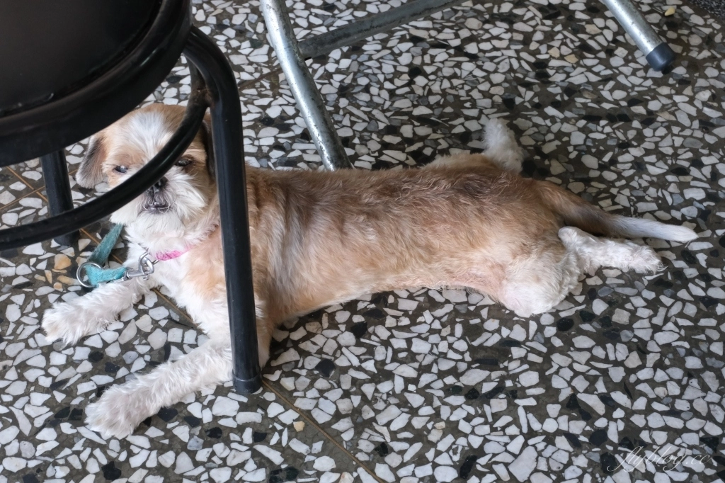 台中清水|清水小籠包.清水人都知道的小籠包,餐點都是現點現做 @飛天璇的口袋 台中清水|清水小籠包.清水人都知道的小籠包,餐點都是現點現做 @飛天璇的口袋