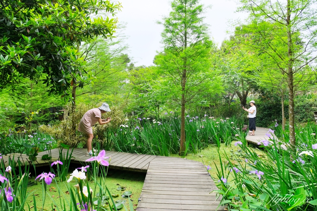 苗栗三義｜卓也小屋渡假園區．鳶尾花季起跑！森林裡的小村落，賞花、美食、藍染 @飛天璇的口袋