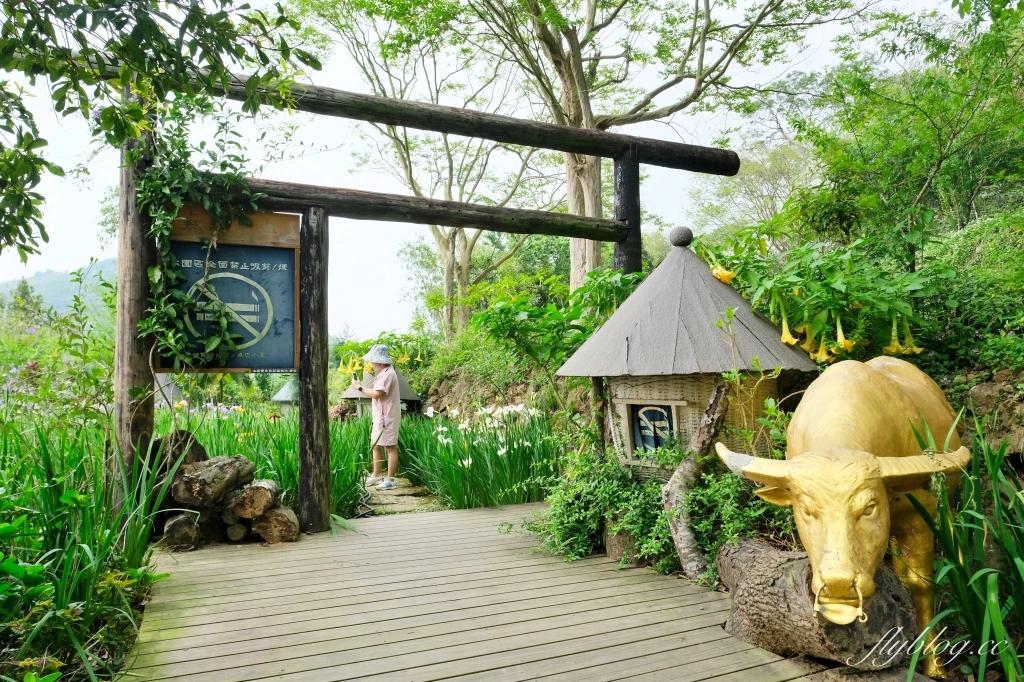 苗栗三義｜卓也小屋渡假園區．鳶尾花季起跑！森林裡的小村落，賞花、美食、藍染 @飛天璇的口袋