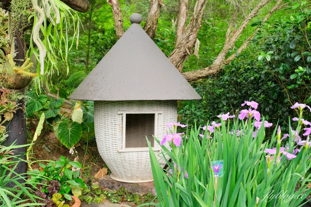 苗栗三義｜卓也小屋渡假園區．鳶尾花季起跑！森林裡的小村落，賞花、美食、藍染 @飛天璇的口袋