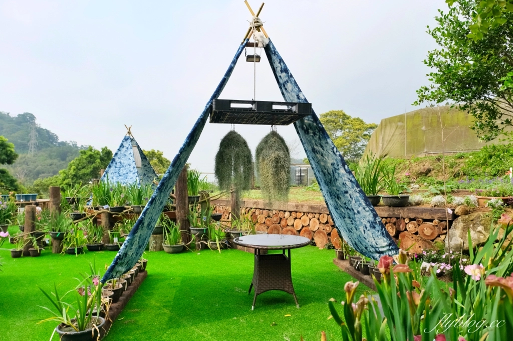 苗栗三義｜卓也小屋渡假園區．鳶尾花季起跑！森林裡的小村落，賞花、美食、藍染 @飛天璇的口袋