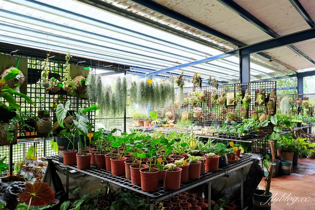 苗栗三義｜卓也小屋渡假園區．鳶尾花季起跑！森林裡的小村落，賞花、美食、藍染 @飛天璇的口袋