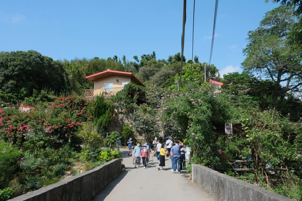 新竹新埔|味衛佳柿餅教育農園.秋天限定的三合院曬柿子,療癒又好拍的金色浪漫 @飛天璇的口袋 新竹新埔|味衛佳柿餅教育農園.秋天限定的三合院曬柿子,療癒又好拍的金色浪漫 @飛天璇的口袋